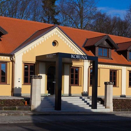 Hotel Koruna Хлумец-над-Цидлиноу Экстерьер фото